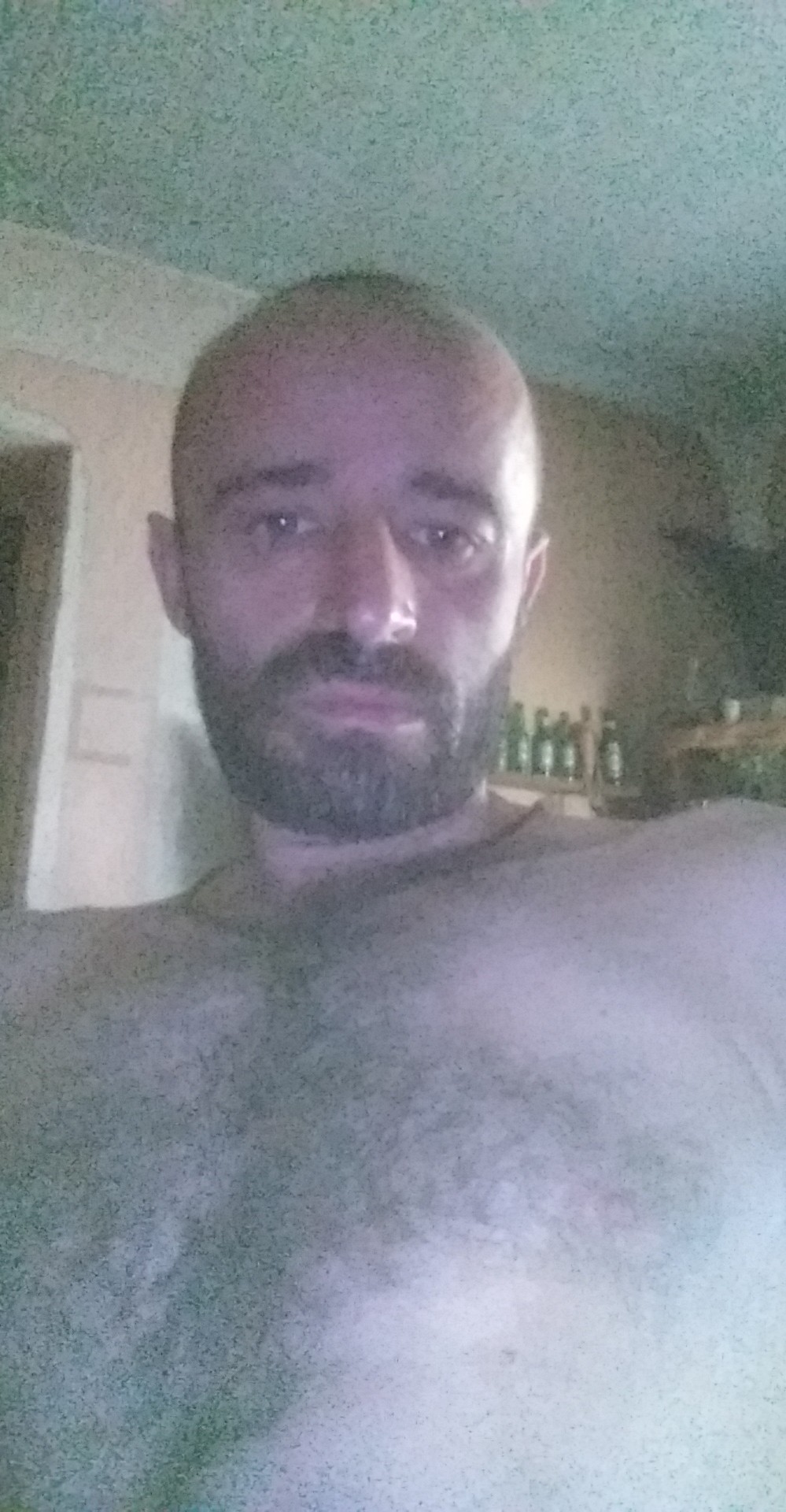 nikolavlahovic