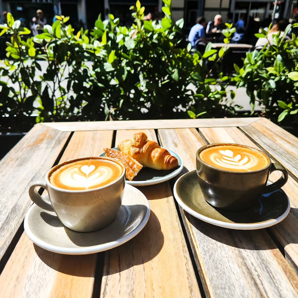 two coffee cups morning sunlight